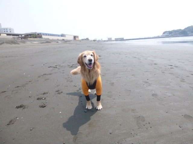 ファイル 4255-3.jpg