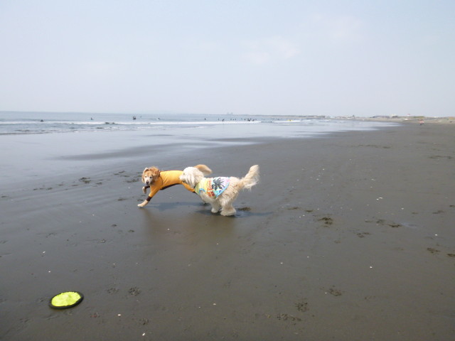 ファイル 4255-4.jpg