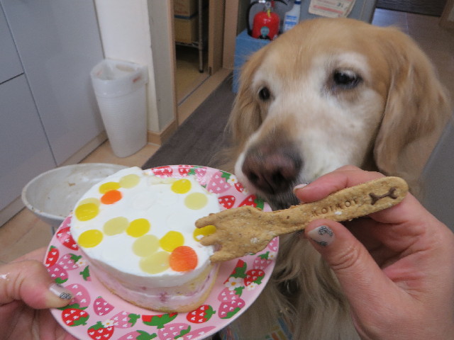 ファイル 4257-2.jpg