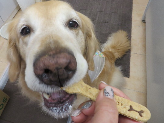 ファイル 4257-3.jpg