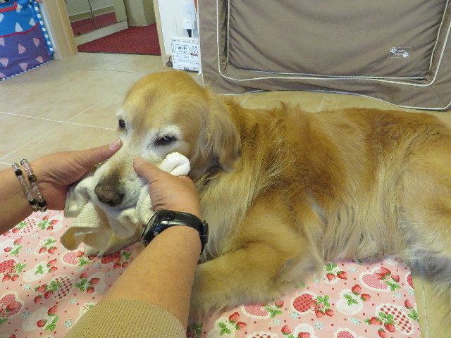 ファイル 4259-1.jpg