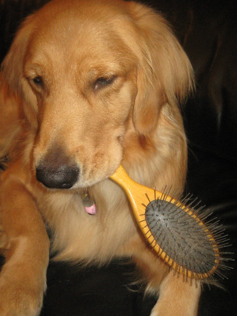 ファイル 426-4.jpg