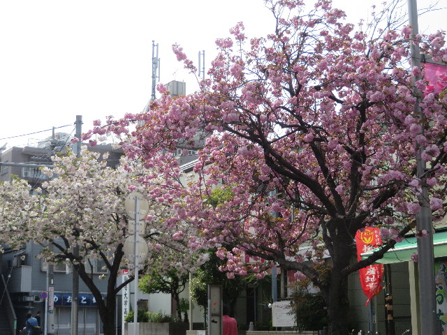 ファイル 4260-2.jpg