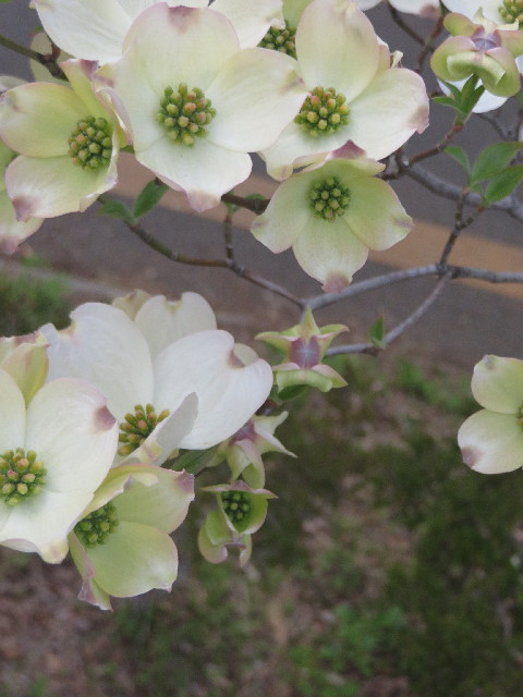 ファイル 4260-4.jpg