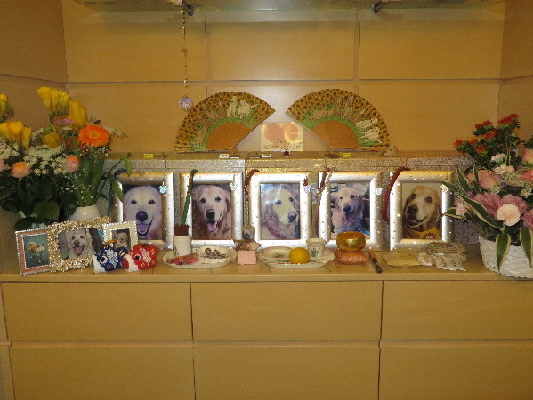 ファイル 4264-3.jpg