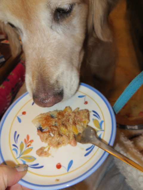 ファイル 4264-5.jpg