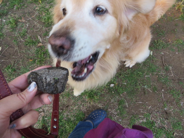 ファイル 4265-1.jpg