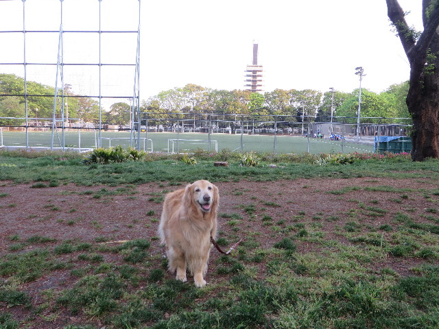 ファイル 4265-3.jpg