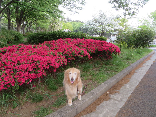 ファイル 4266-2.jpg