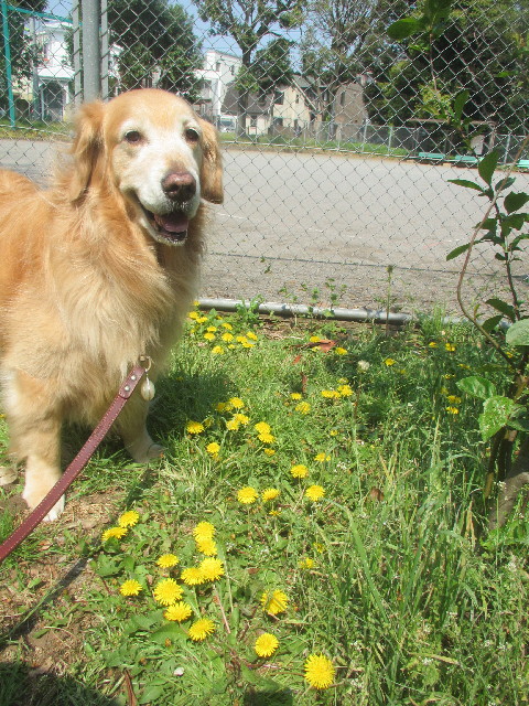 ファイル 4267-2.jpg