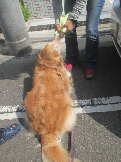 ファイル 4267-5.jpg