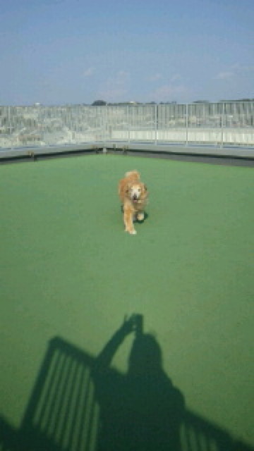 ファイル 4268-3.jpg