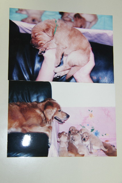 ファイル 4271-3.jpg