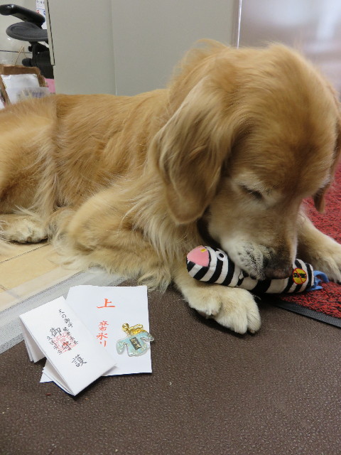 ファイル 4274-3.jpg