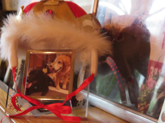 ファイル 4277-4.jpg