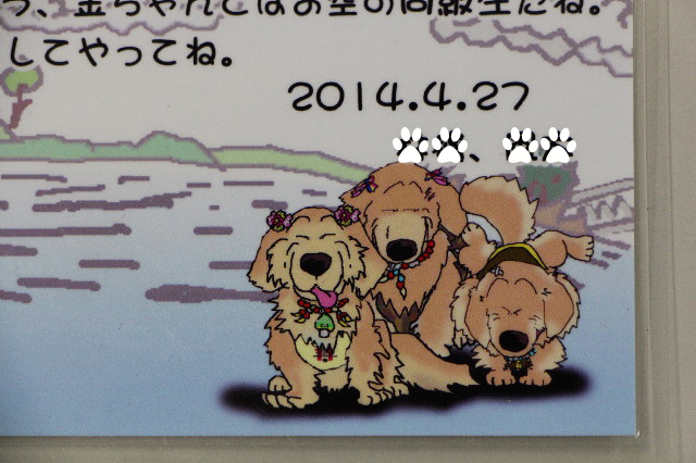 ファイル 4278-1.jpg