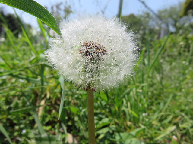 ファイル 4278-5.jpg