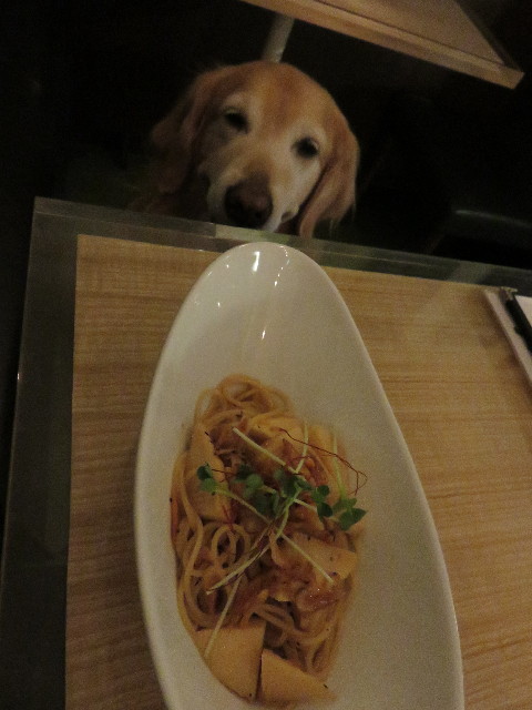 ファイル 4279-4.jpg