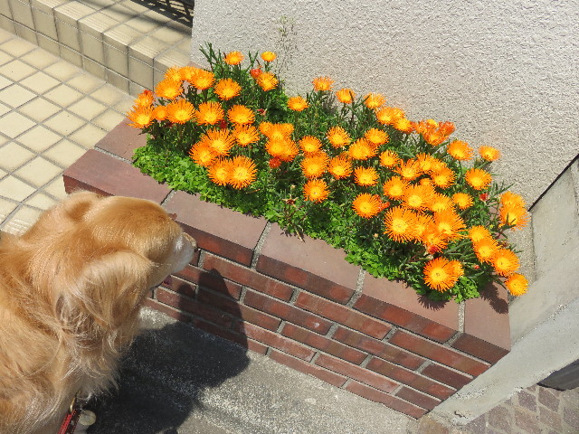 ファイル 4280-5.jpg