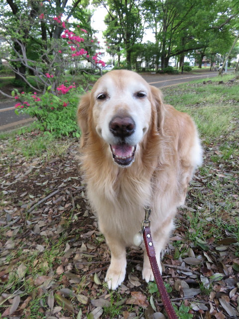 ファイル 4283-1.jpg