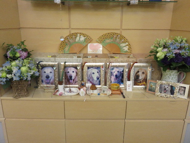 ファイル 4284-2.jpg