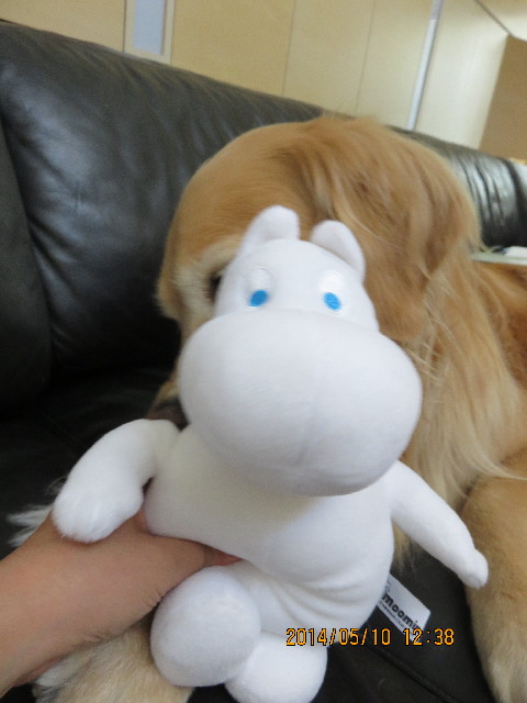 ファイル 4284-5.jpg