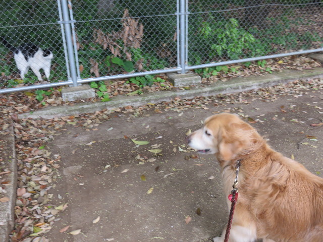 ファイル 4285-2.jpg