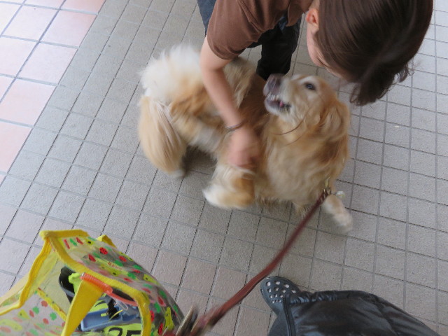 ファイル 4285-3.jpg