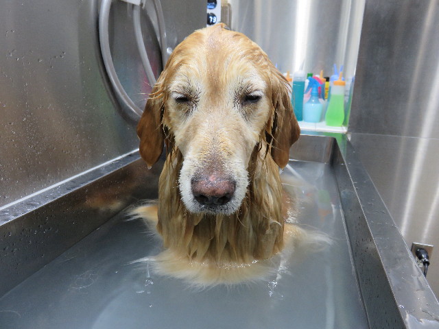 ファイル 4285-5.jpg