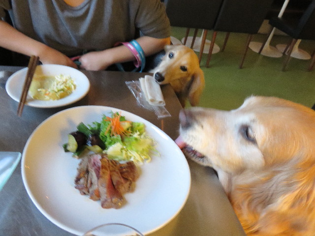 ファイル 4286-4.jpg