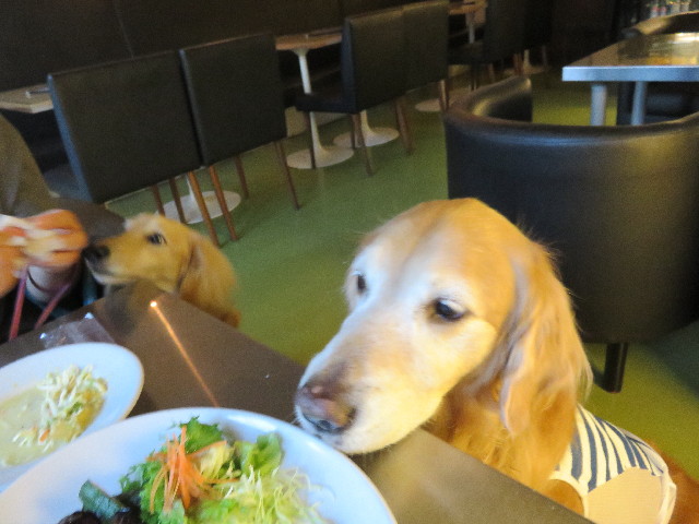 ファイル 4286-5.jpg