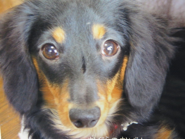 ファイル 4292-1.jpg