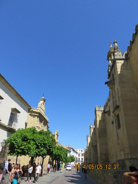 ファイル 4293-2.jpg