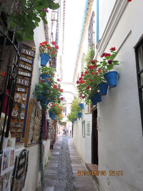 ファイル 4294-1.jpg