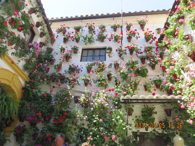 ファイル 4294-3.jpg