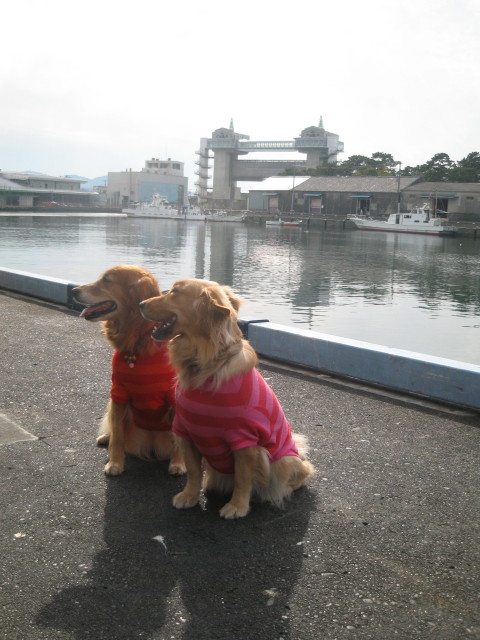 ファイル 430-1.jpg