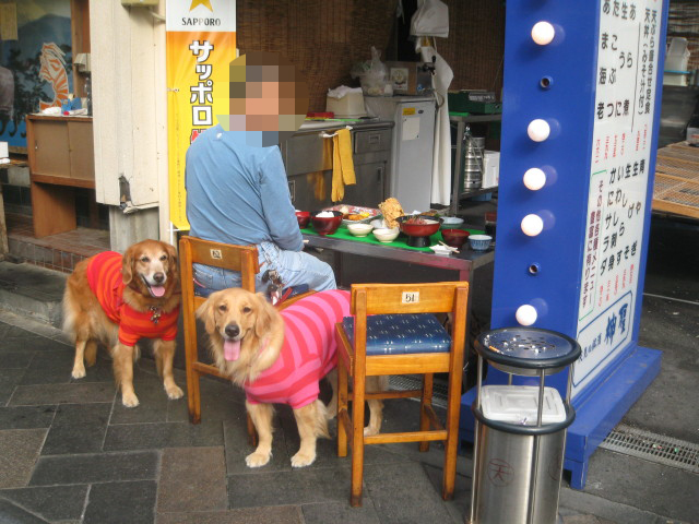 ファイル 430-5.jpg