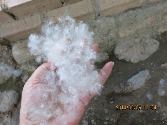 ファイル 4300-4.jpg