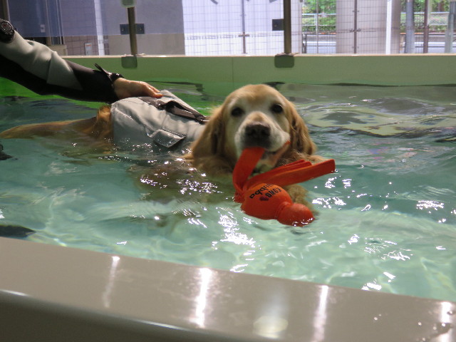 ファイル 4303-3.jpg