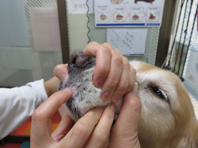 ファイル 4311-2.jpg