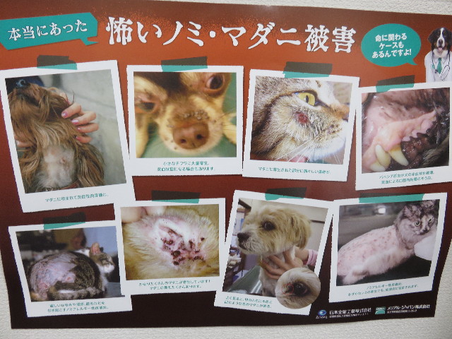 ファイル 4311-3.jpg