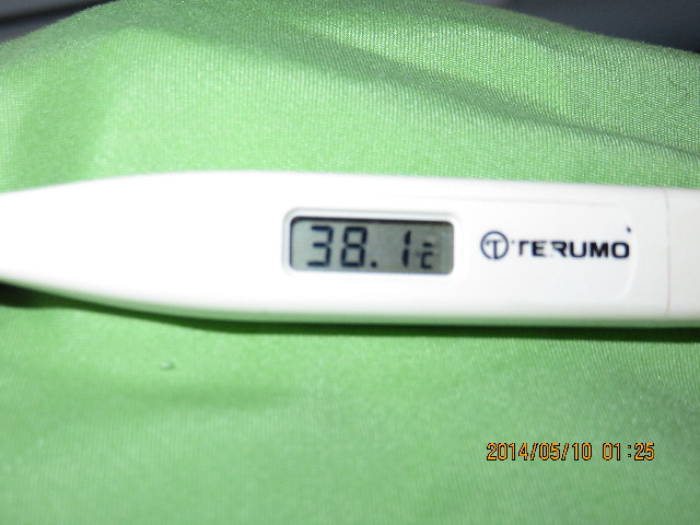 ファイル 4316-1.jpg