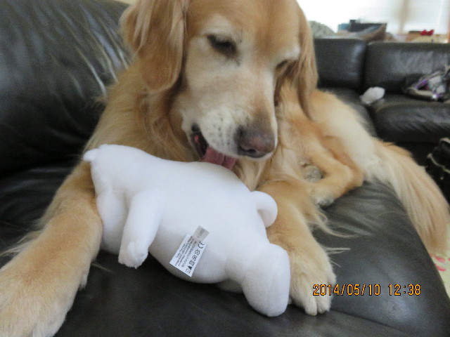 ファイル 4316-3.jpg