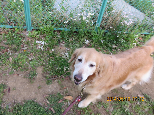 ファイル 4316-4.jpg