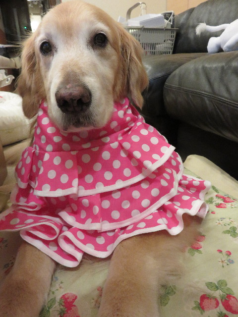 ファイル 4316-5.jpg