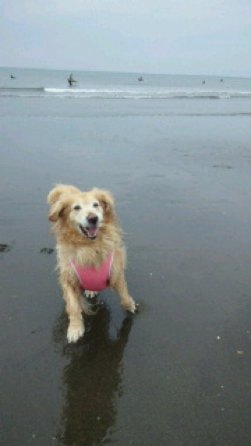 ファイル 4317-5.jpg