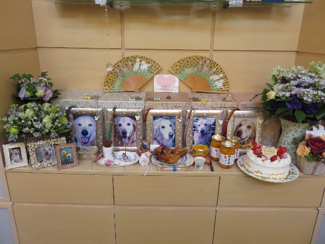 ファイル 4318-1.jpg