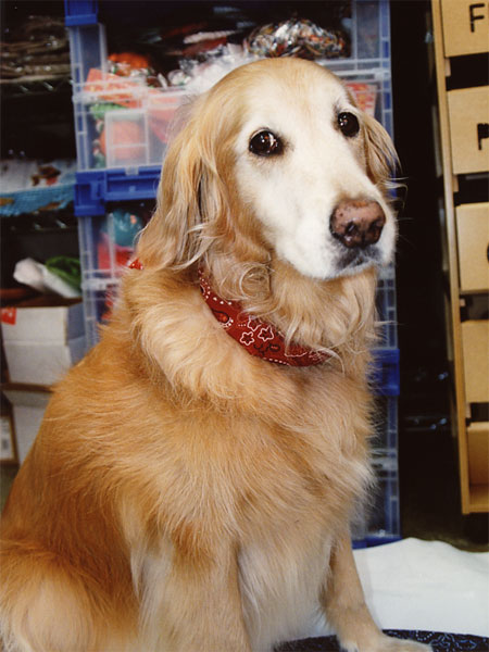 ファイル 4318-2.jpg