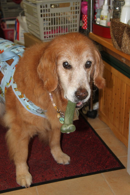 ファイル 4318-3.jpg