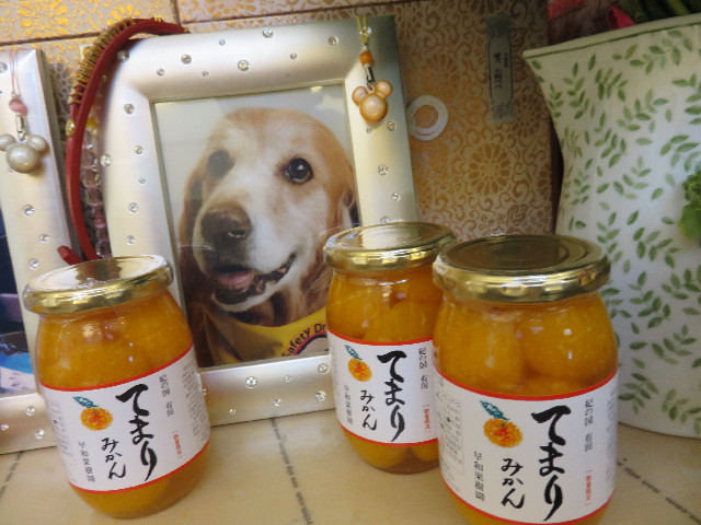 ファイル 4318-5.jpg